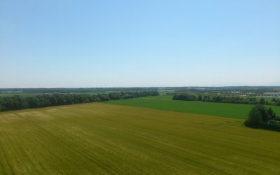 DE, München, UnterhachingSonnig, hell und mit einmaligem Weitblick