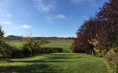 DE, Inning, SchlagenhofenNeuendorf – sonniges Grundstück