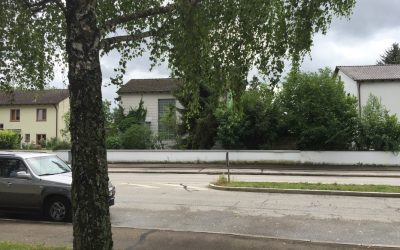 DE, Ingolstadt, HaunwöhrSonniges Baugrundstück