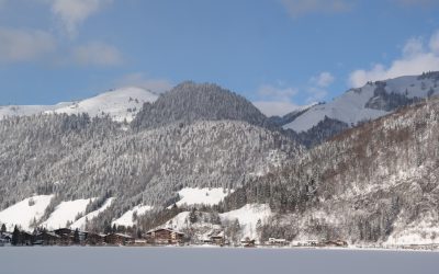 AT, WalchseeBerg-Idylle direkt am See