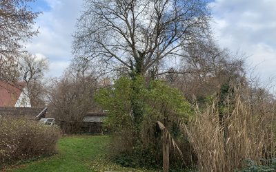 DE, München, Franz-Albert-StraßeLukratives Baugrundstück zum sofortigen Baustart